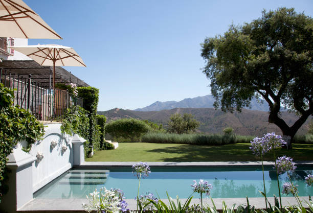 istock Luxury lap pool with tree and mountains in background 160992235