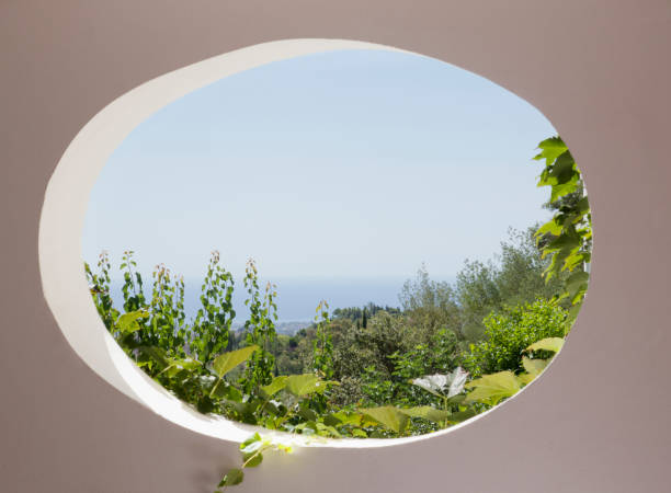 istock View of garden through oval window 160992262