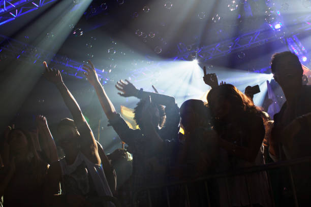 istock Crowd cheering with arms raised at concert 160993189