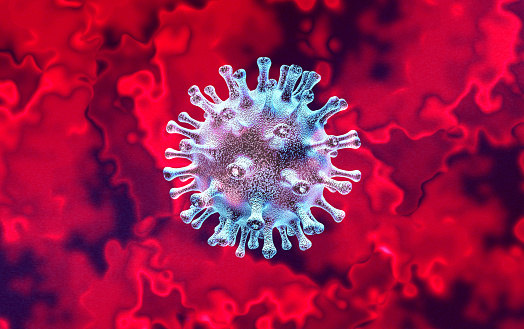 Variante del coronavirus photo