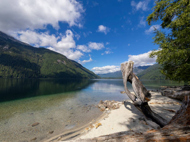 istock Chilliwack Lake Provincial Park 1610003535