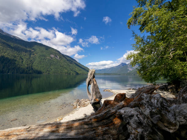 istock Chilliwack Lake Provincial Park 1610003551
