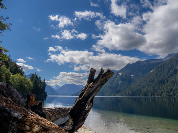 istock Chilliwack Lake Provincial Park 1610003578