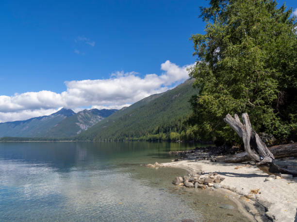 istock Chilliwack Lake Provincial Park 1610004089