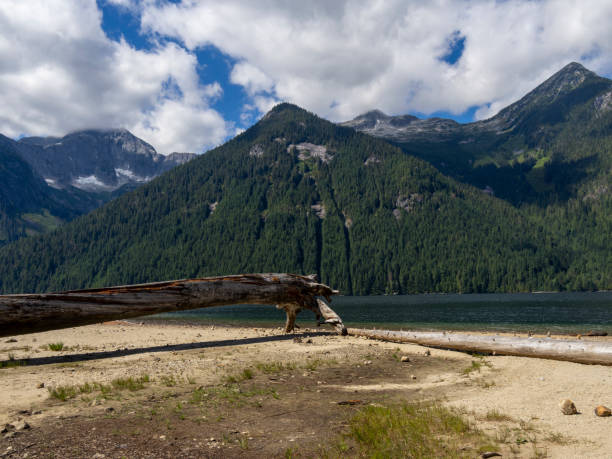 istock Chilliwack Lake Provincial Park 1610004106