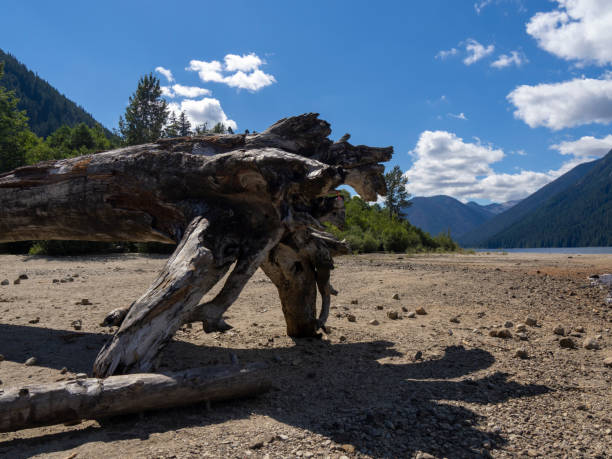istock Chilliwack Lake Provincial Park 1610004113