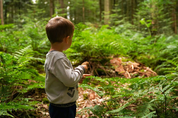 istock A 4 year old little boy exploring the forest and forest life, rear view. Summer vacation. Inquisitive kids in forest. 1610028595