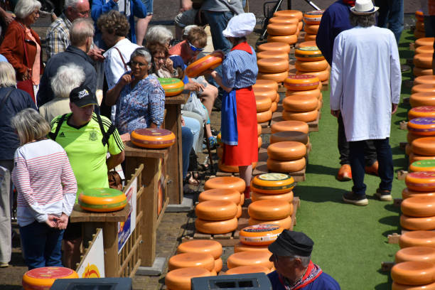 Visitors Of Gouda Cheese Market 2023 View, South Holland, The Netherlands Gouda, The Netherlands - June 6, 2023: Scene Of Gouda Cheese Market Officials Caring Big Cheese, Wearing Dutch Traditional Dress With Clogs, Gouda Cheese Girl Showing Cheese To People, Explaining About Cheese, Including Lots Of Local And Tourists Taking Picture, Talking With One Another, Walking, Looking Around, Sitting Down, Eating And Drinking And More During Gouda Annual Traditional Merchant Cheese Market In South Holland cheese dutch culture cheese making people stock pictures, royalty-free photos & images