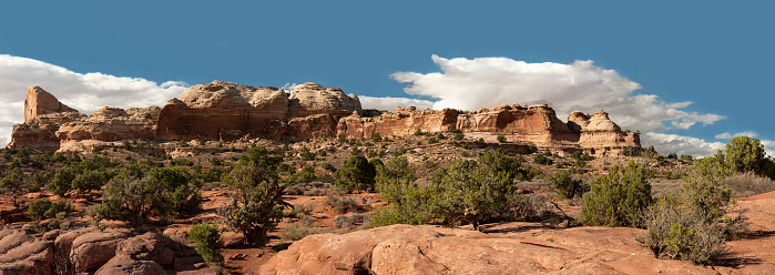 Canyonlands National Park in Utah is known for its panoramic vistas.   This broad, high-desert landscape featuring green vegetation and red rock ridges is on the park’s Island in the Sky mesa, part of the Colorado Plateau. The plateau straddles the corners of four states in the Southwest and spans 240,000 square miles (386,242 square kilometers).