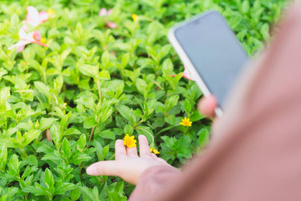 istock Photographing flowers in the park 1610080202