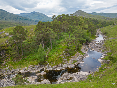 A low level drone view of a Highland glen on an overcast day in summer. The stream runs over a rocky landscape, with native Scots pine and fir trees on one side and a grassy bank on the other. Mountains are in the distance, towards the end of the glen.
