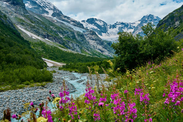 istock view of the glacier with a waterfall and a blooming meadow 1610102157
