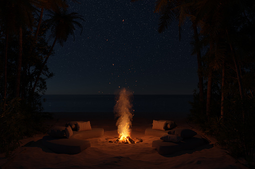3D rendering of large campfire at night next to tropical plants