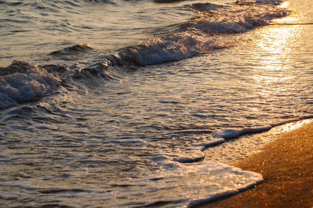 This is a close up photographed of rough Carribbean Sea waves crashing at the beach on the rocky Akumal coastline in Quintana Roo on a spring day in Mexico.