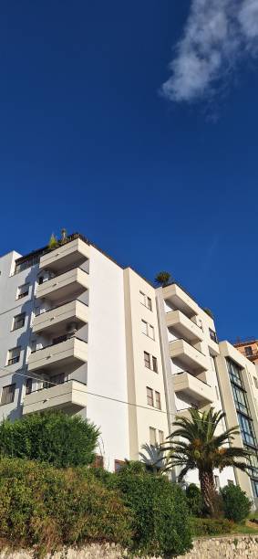 istock White palace with palm tree and garden below. 1610210318