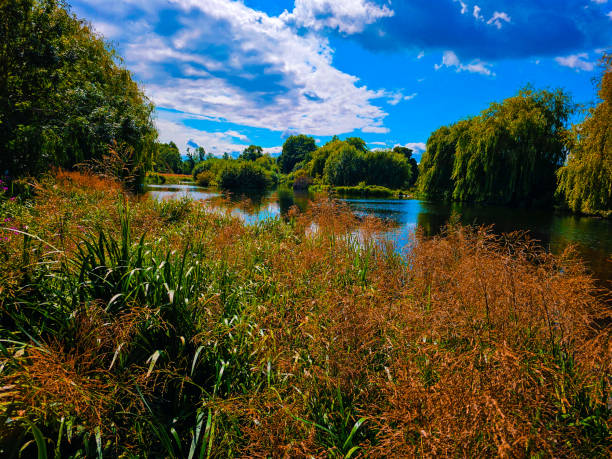 istock A river with trees and grass under the blue and cloudy sky 1610251040