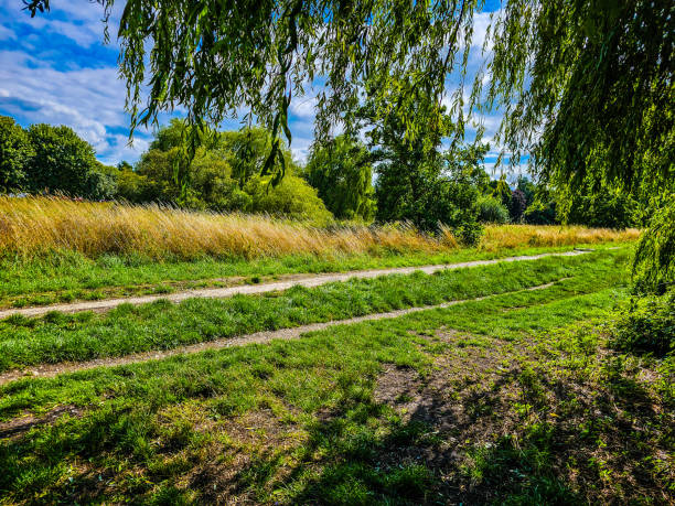 istock A dirt road through a grassy field under the blue sky with sunshine 1610251599