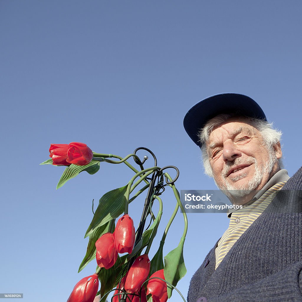 Starszy człowiek i kwiat - Zbiór zdjęć royalty-free (Starsi mężczyźni)