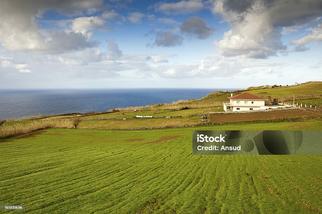 Farm house at the ocean coast, Azores, Portugal Farm house at the ocean coast under heavy clouds, Azores, Portugal Agricultural Field Stock Photo