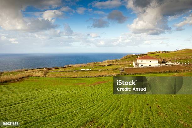 Farm House At The Ocean Coast Azores Portugal Stock Photo - Download Image Now - Agricultural Field, Agriculture, Atlantic Ocean