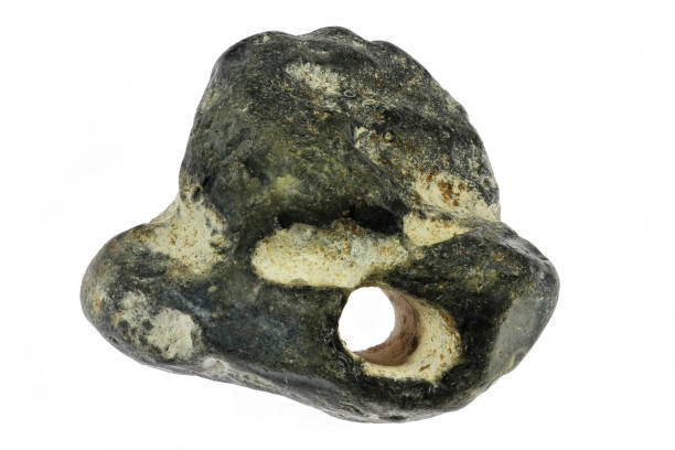 adder stone from the Baltic Sea coast in Waabs, Germany isolated on white background