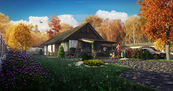 Digitally generated cozy traditional eastern-European country house during a calm and warm autumn afternoon.\n\nThe scene was created in Autodesk® 3ds Max 2024 with V-Ray 6 and rendered with photorealistic shaders and lighting in Chaos® Vantage with some post-production added.