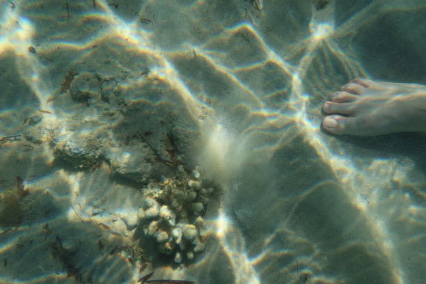 pieds de femme sous l’eau turquoise bleue à ras shitan dans le sinaï en egypte - red sea taba sand reef photos et images de collection