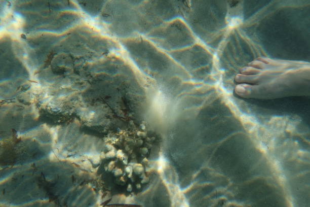 エジプトのシナイ半島のラス・シタンの青いターコイズブルーの水の下の女性の足 - red sea taba sand reef ストックフォトと画像