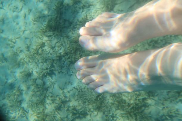 pieds de femme sous l’eau turquoise bleue à ras shitan dans le sinaï en egypte - red sea taba sand reef photos et images de collection