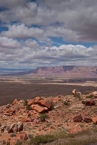 istock Vermilion Cliffs and Marble Canyon 161046729