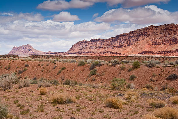 Echo Cliffs and Arizona Desert Echo Cliffs is a prominent 70 mile long step-like fold in the rock strata called a monocline. The Chinle Formation of the Colorado Plateau is prominently exposed in the cliffs. The rocks above are from the Glen Canyon Group and the rocks below are from the Moenkopi Formation. This view of the Echo Cliffs was photographed from US Highway 89 near The Gap, Arizona, USA. chinle formation stock pictures, royalty-free photos & images