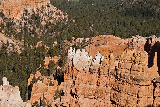 Red and White Rock Statues Bryce Canyon is famous for its tall thin spires of rock known as hoodoos. Hoodoos start with an initial deposition of rock. Then over time the rock is uplifted then eroded and weathered. Hoodoos typically consist of relatively soft rock topped by harder, less easily eroded stone that protects each column from the weather. Hoodoos generally form within sedimentary rock such as sandstone. These hoodoos were photographed from Sunset Point in Bryce Canyon National Park, Utah, USA. jeff goulden bryce canyon national park stock pictures, royalty-free photos & images