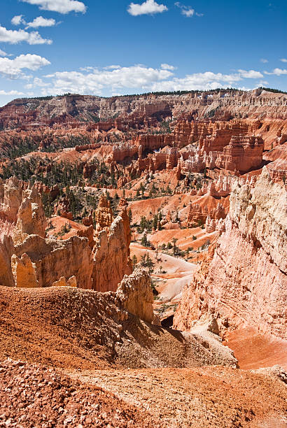 Hoodoos and Distant Cliffs Bryce Canyon is famous for its tall thin spires of rock known as hoodoos. Hoodoos start with an initial deposition of rock. Then over time the rock is uplifted then eroded and weathered. Hoodoos typically consist of relatively soft rock topped by harder, less easily eroded stone that protects each column from the weather. Hoodoos generally form within sedimentary rock such as sandstone. These hoodoos were photographed from the Queen's Garden Trail in Bryce Canyon National Park, Utah, USA. jeff goulden bryce canyon national park stock pictures, royalty-free photos & images