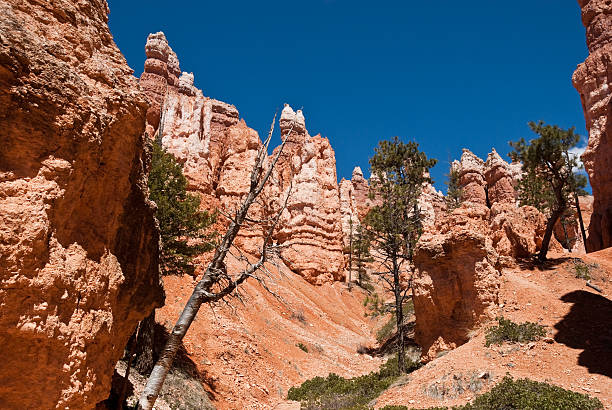 istock Hoodoos Rising From Sandstone 161046956