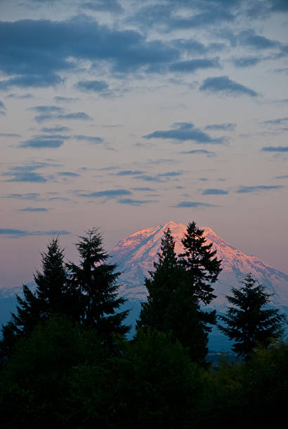 Mount Rainier at Sunset At 14,410' above sea level, Mount Rainier dominates the landscape of the Puget Sound region. Mount Rainier is the highest point in Washington State and is also the most glaciated mountain in the continental United States. This picture of Mount Rainier was taken at sunset from Edgewood, Washington State, USA. jeff goulden puyallup washington stock pictures, royalty-free photos & images