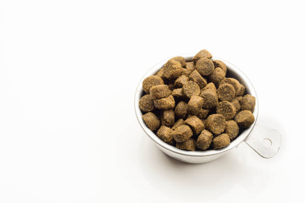 istock Dog food in a 1/2 cup measure 1610554613
