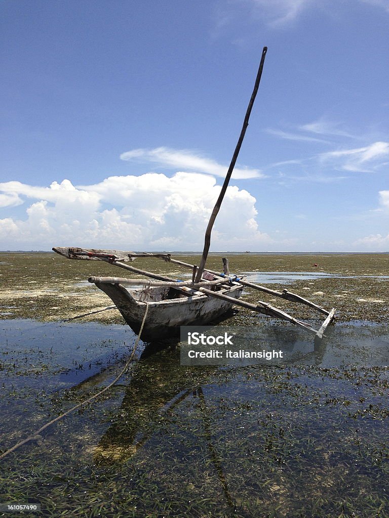 African catamaran à la marée basse. - Photo de Afrique libre de droits