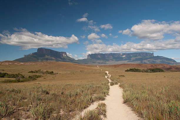 istock Path to the Roraima plateau. Venezuela 161059385