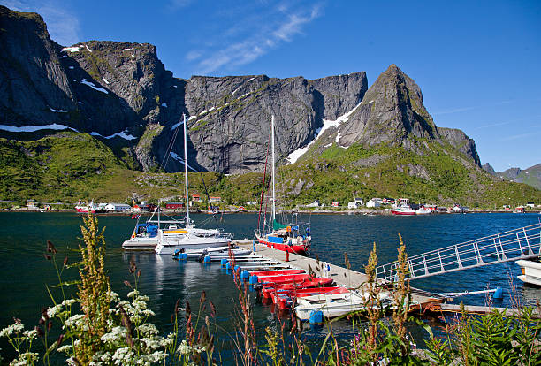 molo sulle isole lofoten - single flower sailboat harbor pier foto e immagini stock