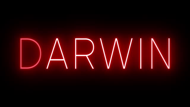 Animated red neon sign for Darwin