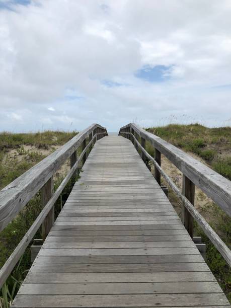 istock Boardwalk to Tybee Island beach in Georgia. 1610669230
