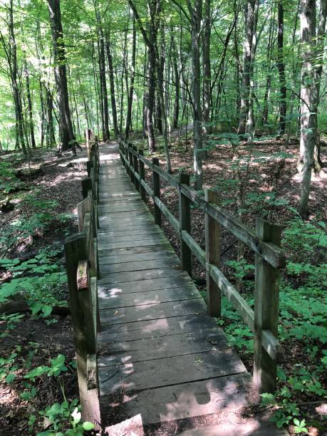 istock Bridge over a gulley at a metropark in Michigan. 1610670189