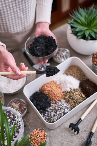 istock soil substrate preparation for transplanting houseplants on concrete background 1610674848
