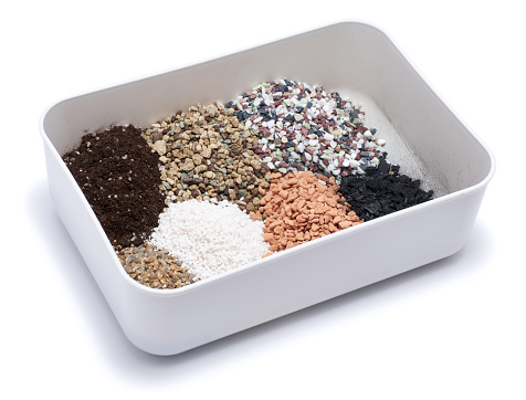 Substrate Box Plastic Box With Substrate Soil For Transplanting Houseplants Isolated ...