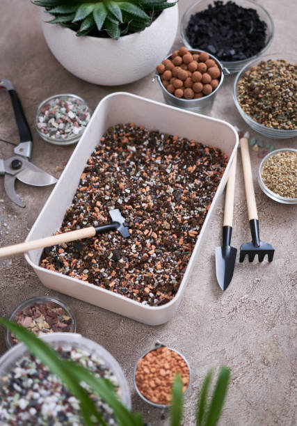 istock plastic box for soil substrate preparation for transplanting houseplants on concrete background 1610674868