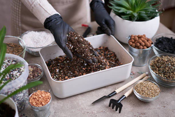 soil substrate preparation for transplanting houseplants on concrete background