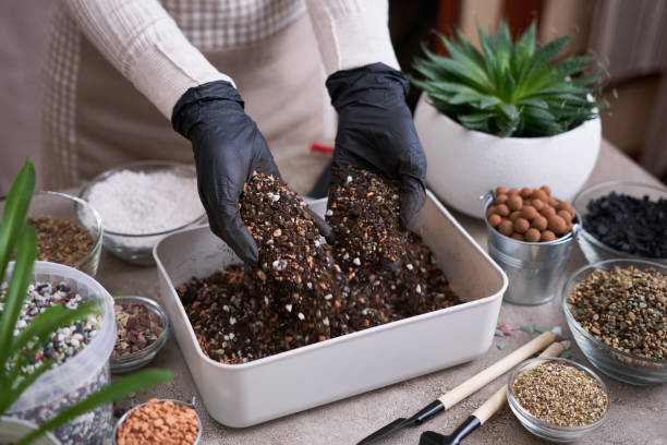 istock soil substrate preparation for transplanting houseplants on concrete background 1610674870