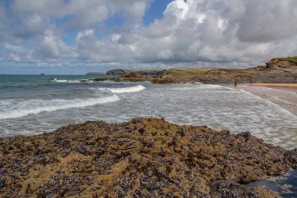 istock St Cadoc's Point, Harlyn Bay, and Stepper Point and Pentire Point, Cornwall, UK. 1610695470
