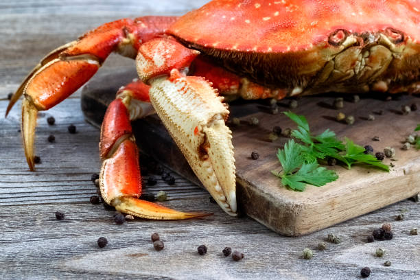 istock Close up freshly cooked Dungeness crab on serving board 1610718299