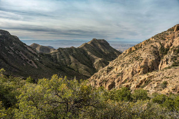 istock Morning Light Begins to Fill Blue Creek Canyon In Big Bend 1610731207